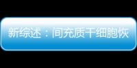 新綜述：間充質干細胞恢復老化的免疫系統 改善健康