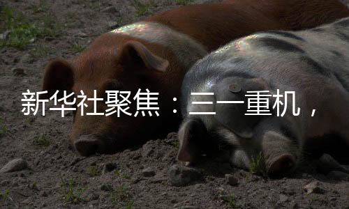 新華社聚焦：三一重機，上海先進制造業(yè)的“硬核”擔當