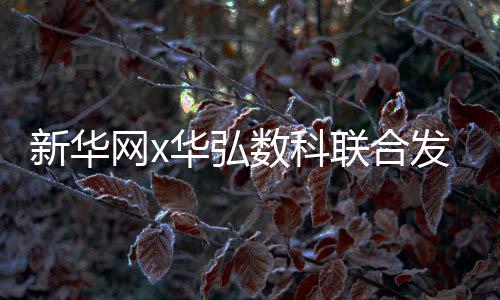新華網(wǎng)x華弘數(shù)科聯(lián)合發(fā)布AI新物種：全液冷智算一體機