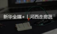新華全媒+丨河西走廊蔬菜秋收 一派豐收景象