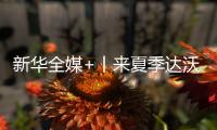 新華全媒+丨來夏季達沃斯論壇，看中國綠色發展成果