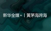 新華全媒+丨黃茅海跨海通道通車 粵港澳大灣區(qū)再添“關(guān)鍵一橫”
