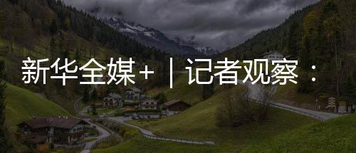 新華全媒+｜記者觀察：今年進博會傳遞出這些重要信號