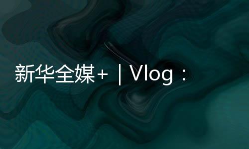 新華全媒+｜Vlog：來“灣區之心”看自貿區之“新”
