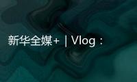新華全媒+｜Vlog：來“灣區之心”看自貿區之“新”