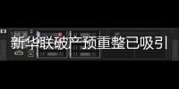 新華聯破產預重整已吸引10家意向投資人