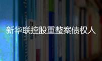 新華聯(lián)控股重整案債權(quán)人會議通過設立債權(quán)人委員會等議案