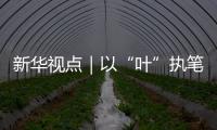 新華視點(diǎn)｜以“葉”執(zhí)筆 繪就縣域小城“富春山居圖”