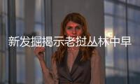 新發掘揭示老撾叢林中早期人類活動