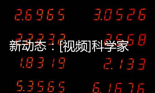 新動態：[視頻]科學家利用強化學習培訓四足機器人守門員