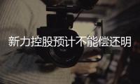 新力控股預計不能償還明年1月到期的2.5億美元債