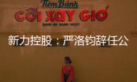 新力控股：嚴(yán)洛鈞辭任公司秘書(shū)，鐘明輝接任