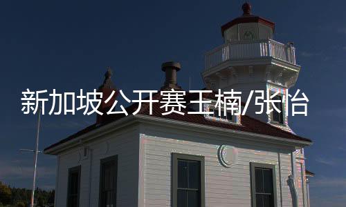 新加坡公開賽王楠/張怡寧輕松折桂