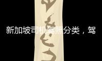 新加坡司機駕照分類，駕照如何分類