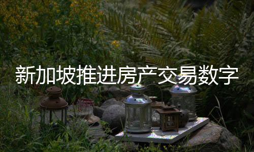 新加坡推進房產(chǎn)交易數(shù)字平臺建設(shè) 2026年全面落實