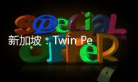 新加坡：Twin Peaks公寓方案公布（組圖）