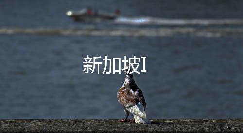 新加坡I