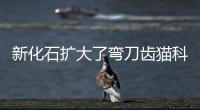 新化石擴(kuò)大了彎刀齒貓科動(dòng)物的地理足跡