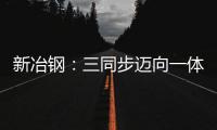 新冶鋼：三同步邁向一體化
