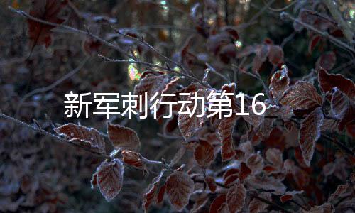 新軍刺行動第16