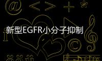 新型EGFR小分子抑制劑 克服L858R/T790M突變