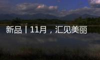新品丨11月，匯見美麗