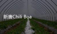 新唐Chili Board幫助開發(fā)者快速完成連網(wǎng)并支持多云的應(yīng)用