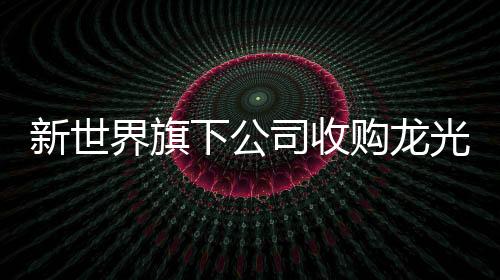 新世界旗下公司收購龍光基業40%股權,總價19.02億