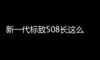 新一代標致508長這么帥 你還當神車黨嗎