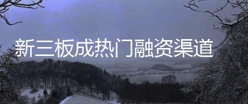 新三板成熱門融資渠道 衣柜企業輕易即能籌資?