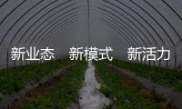 新業態　新模式　新活力 新型消費點燃城市“煙火氣”