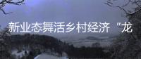 新業態舞活鄉村經濟“龍抬頭”