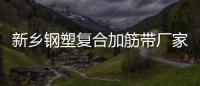 新鄉鋼塑復合加筋帶廠家采購供應