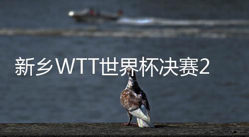 新鄉(xiāng)WTT世界杯決賽2022晉級形勢