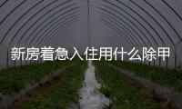 新房著急入住用什么除甲醛 急需住怎么快速除甲醛