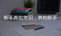 新手養狗常識，養狗新手注意事項