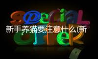 新手養貓要注意什么(新手養狗知識)