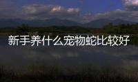 新手養什么寵物蛇比較好？適合新手養的十種寵物蛇
