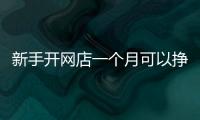新手開網店一個月可以掙多少,開網店一年能賺多少錢