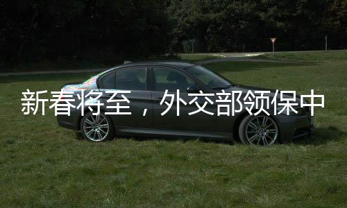 新春將至，外交部領保中心發出7點提醒