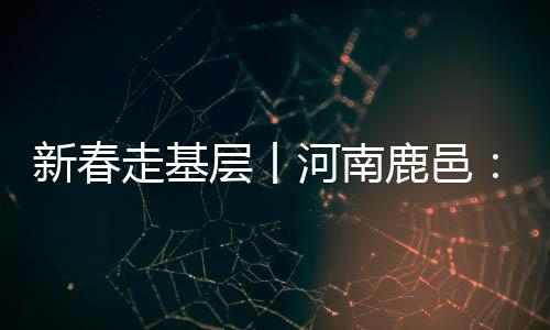 新春走基層丨河南鹿邑：尾毛里的致富經