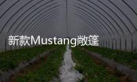 新款Mustang敞篷版官圖發布 將今年秋上市