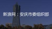 新浪網：安慶市委組織部重磅推出微視頻《長路》