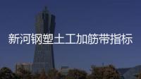 新河鋼塑土工加筋帶指標