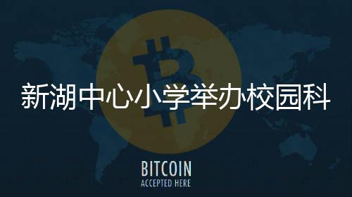 新湖中心小學舉辦校園科技節活動
