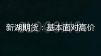 新湖期貨：基本面對高價鐵礦支撐不足，會前或以區間震蕩為主