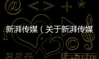 新湃傳媒（關于新湃傳媒的基本情況說明介紹）