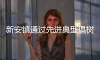 新安鎮通過先進典型倡樹文明新風_