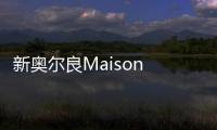 新奧爾良Maison de la Luz酒店，豪華復古的私人避風港（組圖）