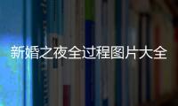 新婚之夜全過程圖片大全（新婚之夜全過程圖片）